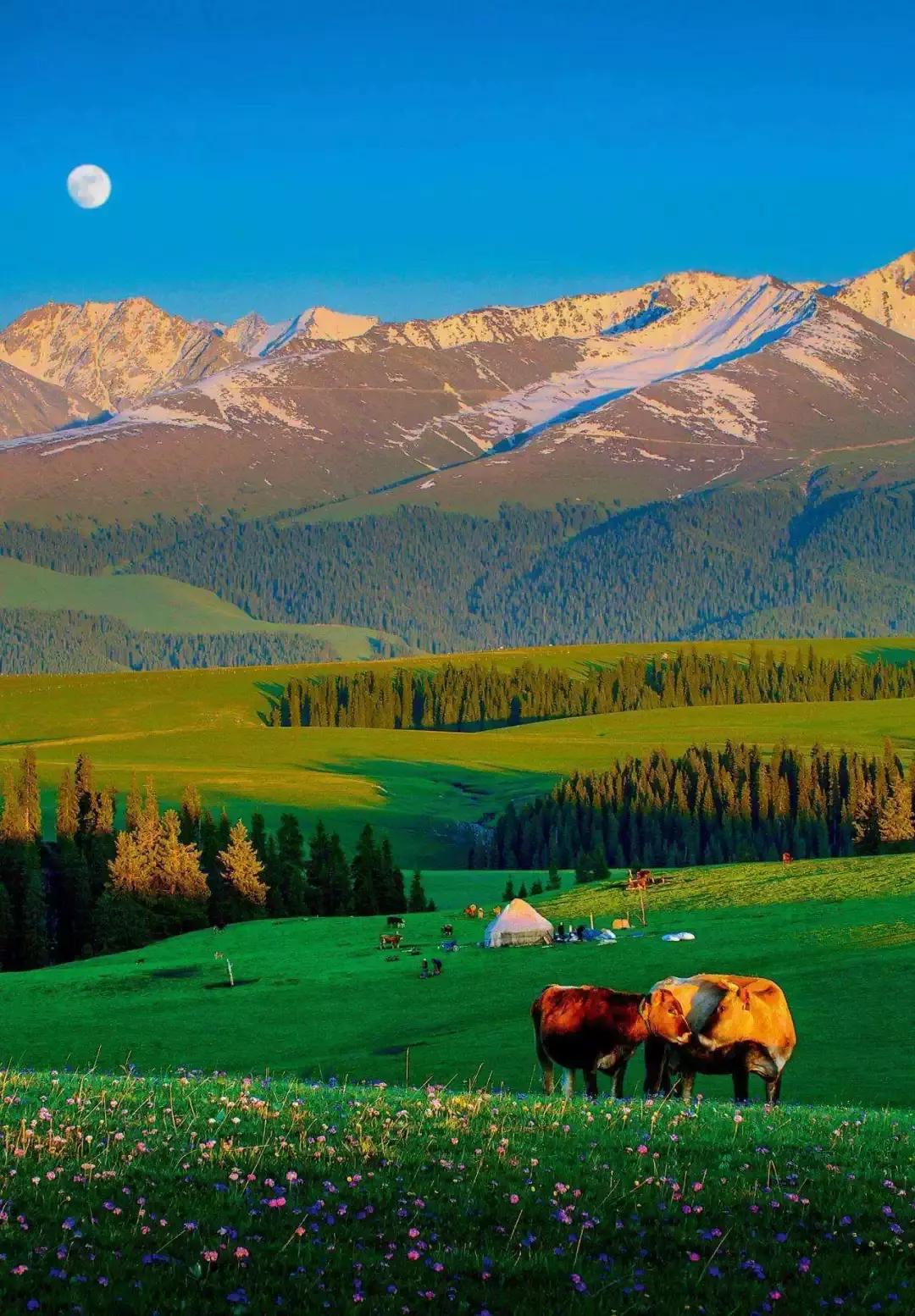 探寻新疆，神秘美丽的西域风情之旅